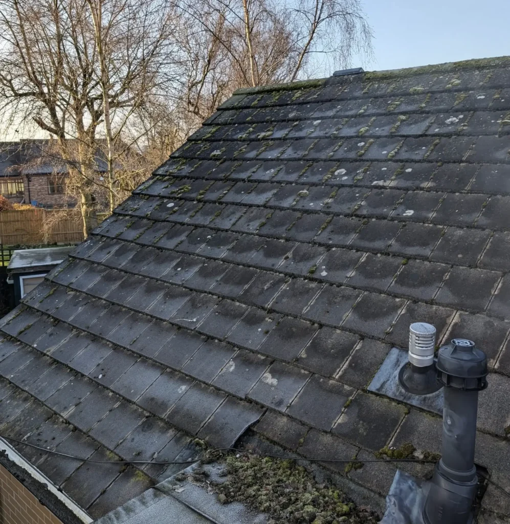 Does removing moss from a roof cause leaks?