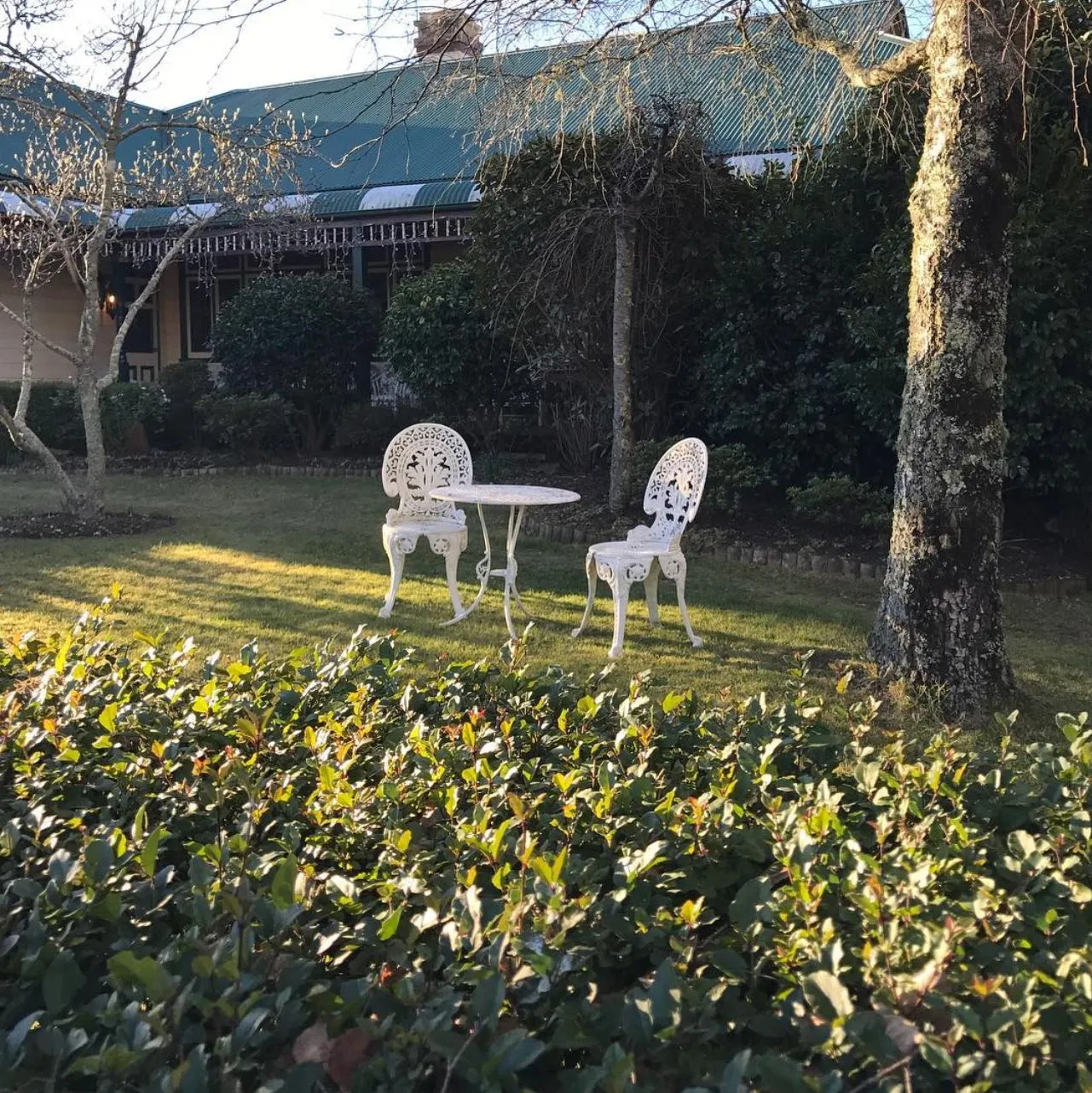 USCIS693 | Nature Therapy in the Blue Mountains: Healing Among Eucalypt Forests Glenella Guesthouse