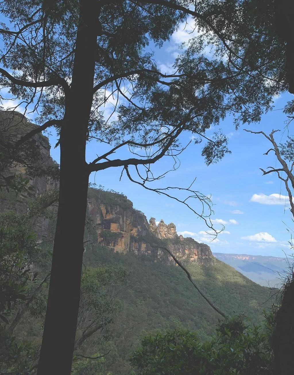 USCIS693 | Nature Therapy in the Blue Mountains: Healing Among Eucalypt Forests Local Knowledge, Respecting Country and Season