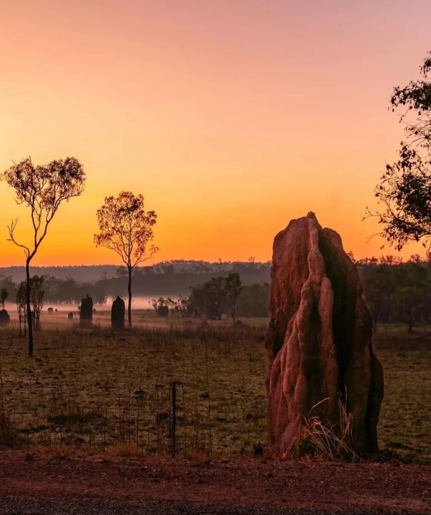 Magnetic Termite Mounds