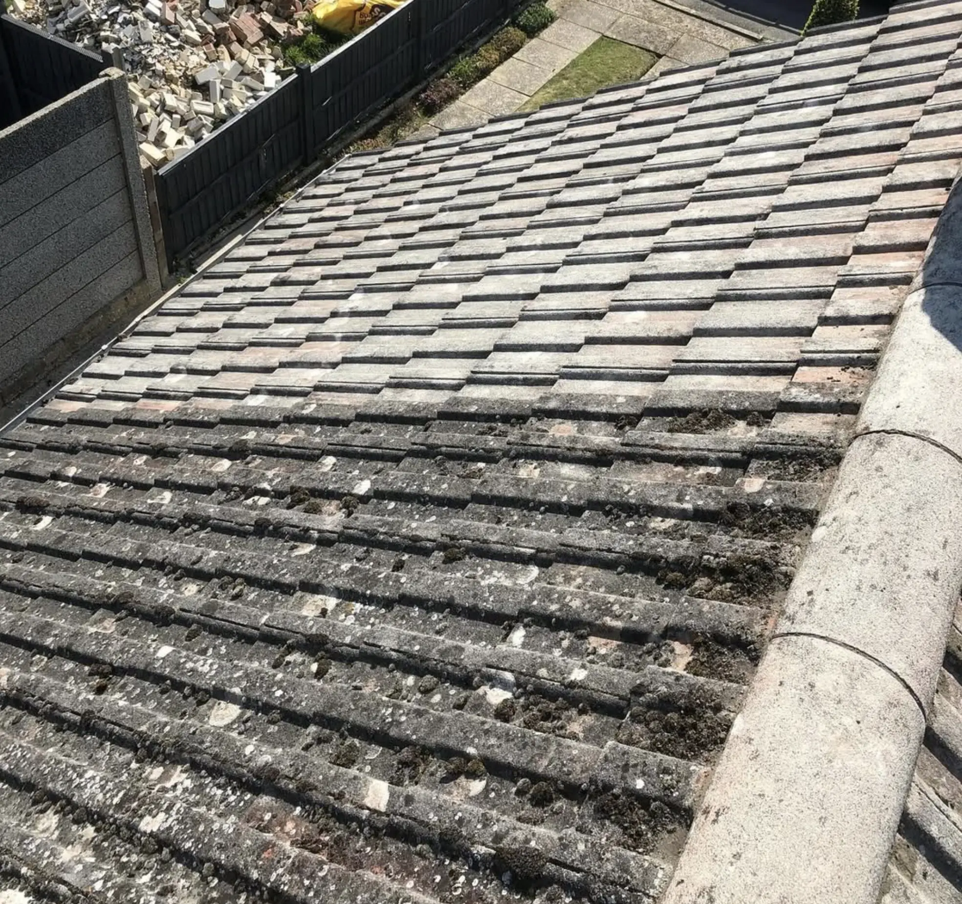 USCIS693 | Does removing moss from a roof cause leaks? Moss Removal services
