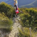 USCIS693 | How Long Does Saline Tattoo Removal Take to Work? Nature Therapy in the Blue Mountains