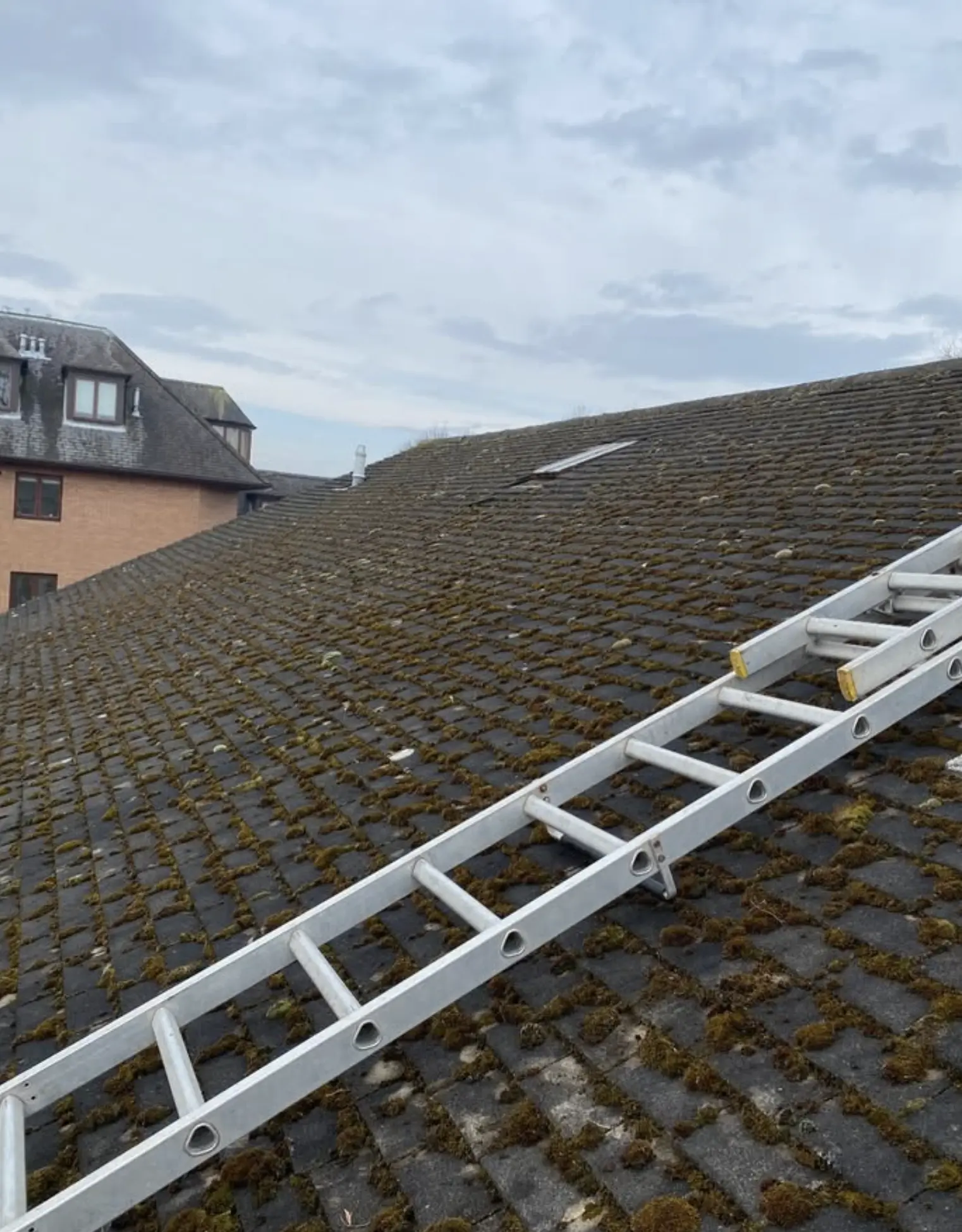 USCIS693 | Does removing moss from a roof cause leaks? Professional Moss Removal