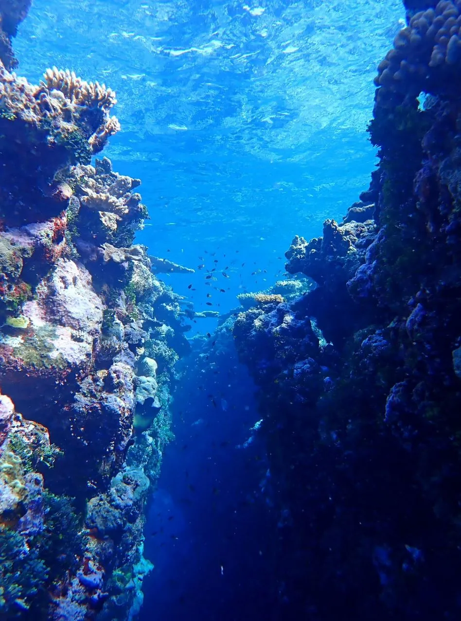 Reefs Worth Ditching The Ordinary For