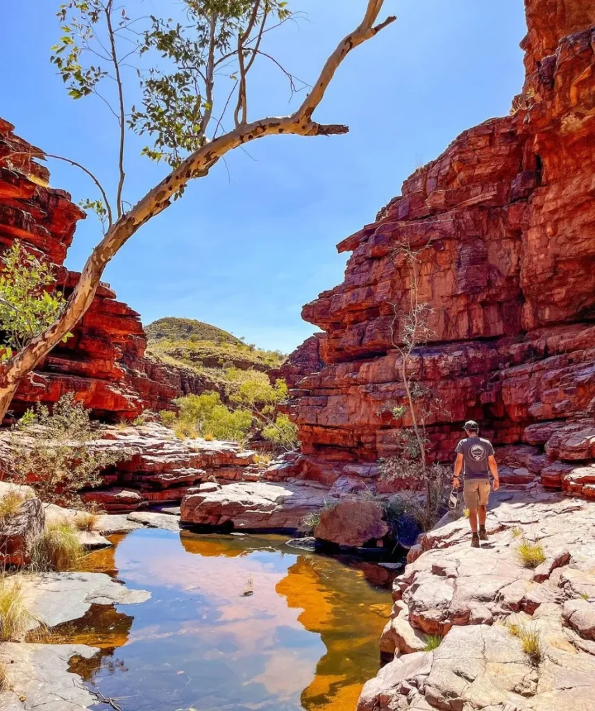 Trephina Gorge