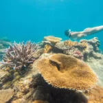 USCIS693 | Best Drone Photography Spots & Rules in the Blue Mountains What Is The Prettiest Reef In The World