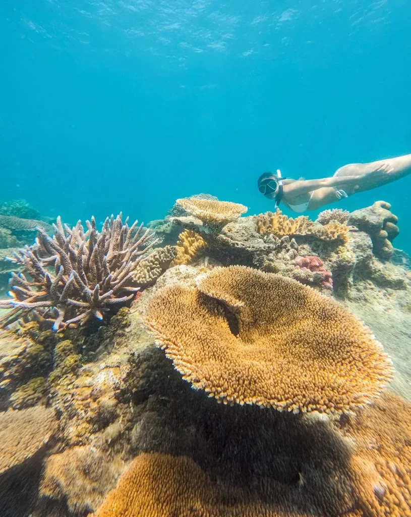 What Is The Prettiest Reef In The World