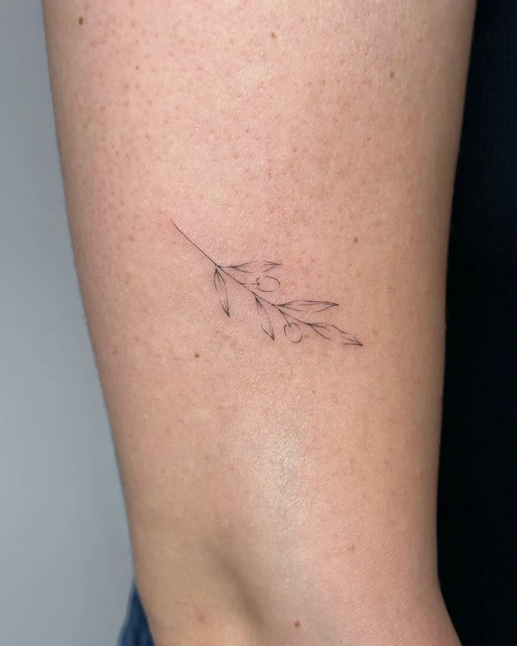 USCIS693 | Where’s the Least Painful Place to Get a Fine Line Tattoo? fine line tattoo Melbourne