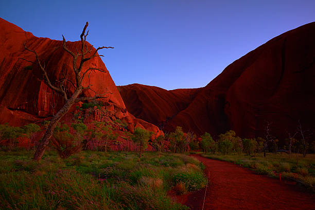 Discover the Magic of Uluru with Our 3-Day Tour Package