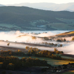 “Explore Premier Yarra Valley Wineries: Expert Wine Tour Guide & Tastings”